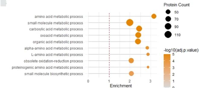 Open access visualization of Bubble Plot, Scatter Plot, GO Term Enrichment, Biological Process