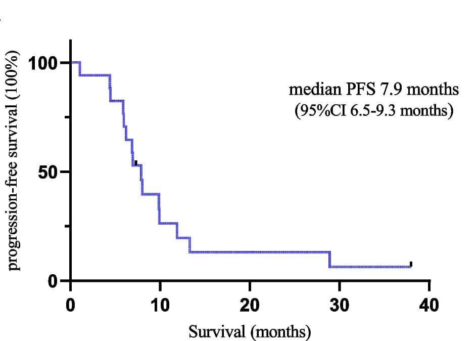 Open access visualization of Line Plot, Line Step, Survival Curve, Kaplan-Meier method, Progression-Free Survival