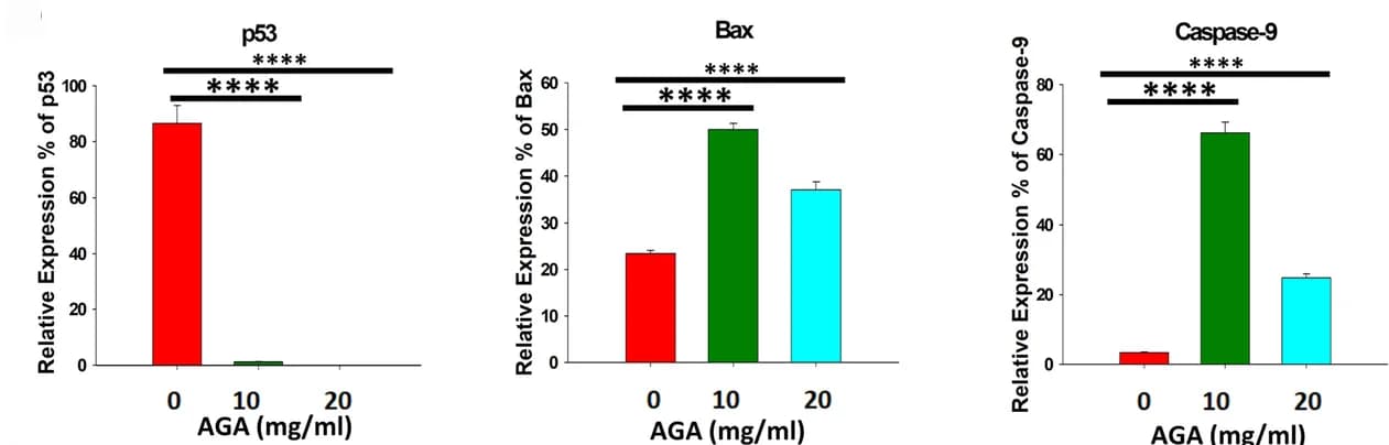 Open access visualization of Bar Plot, Error Bars, Apoptosis Regulator Proteins, Quantified Expression, Fold Induction