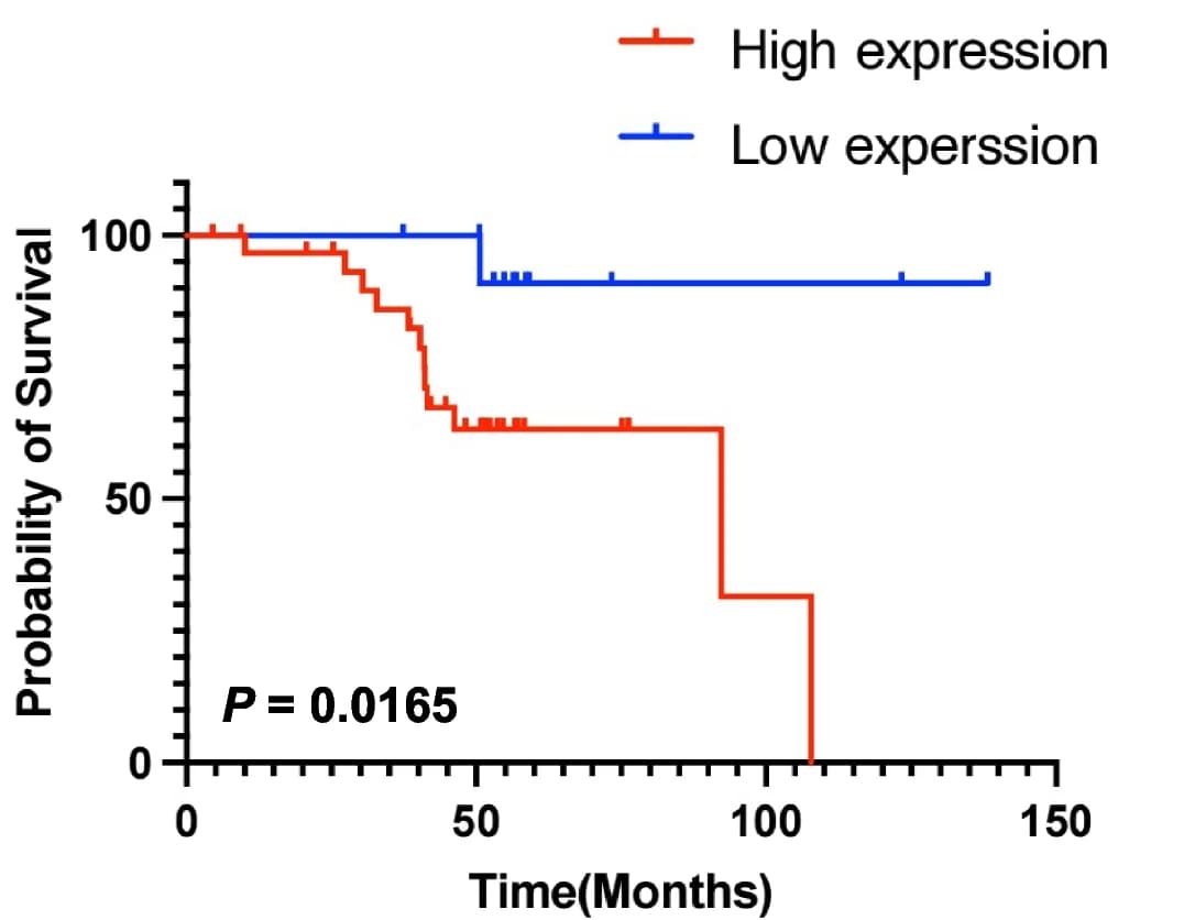 Open access visualization of Survival Curve, Line Plot, Line Step, KaplanMeier Survival Curve, LUAD