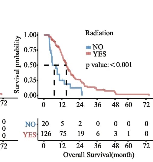 Open access visualization of Survival Curve, Table Image, KM Survival Curves, Radiation Status
