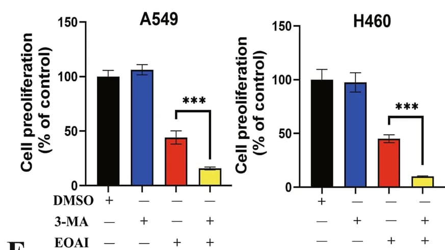 Open access visualization of Bar Plot, Error Bars, Clustered, Autophagy, EOAI