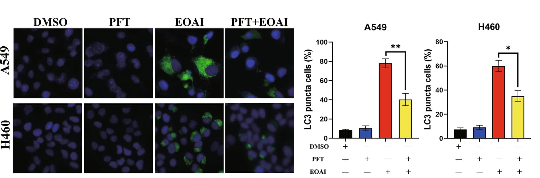 Open access visualization of Bar Plot, Error Bars, Microscopy, PFT, EOAI