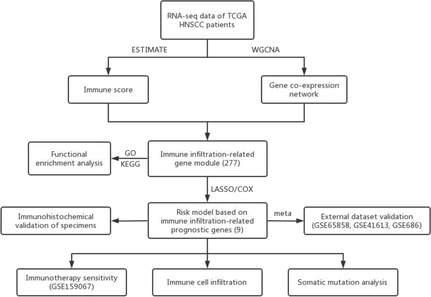 Open access visualization of Workflow, Flowchart, Flow Chart, Study Design