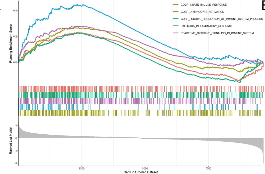 Open access visualization of Line Plot, Bar Plot, Histogram, GSEA, Immune Response