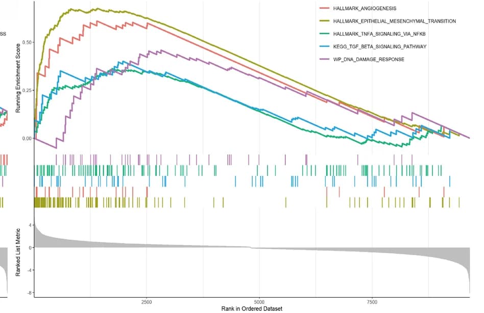 Open access visualization of Line Plot, Line Step, GSEA, Immune Response, Tumor Microenvironment