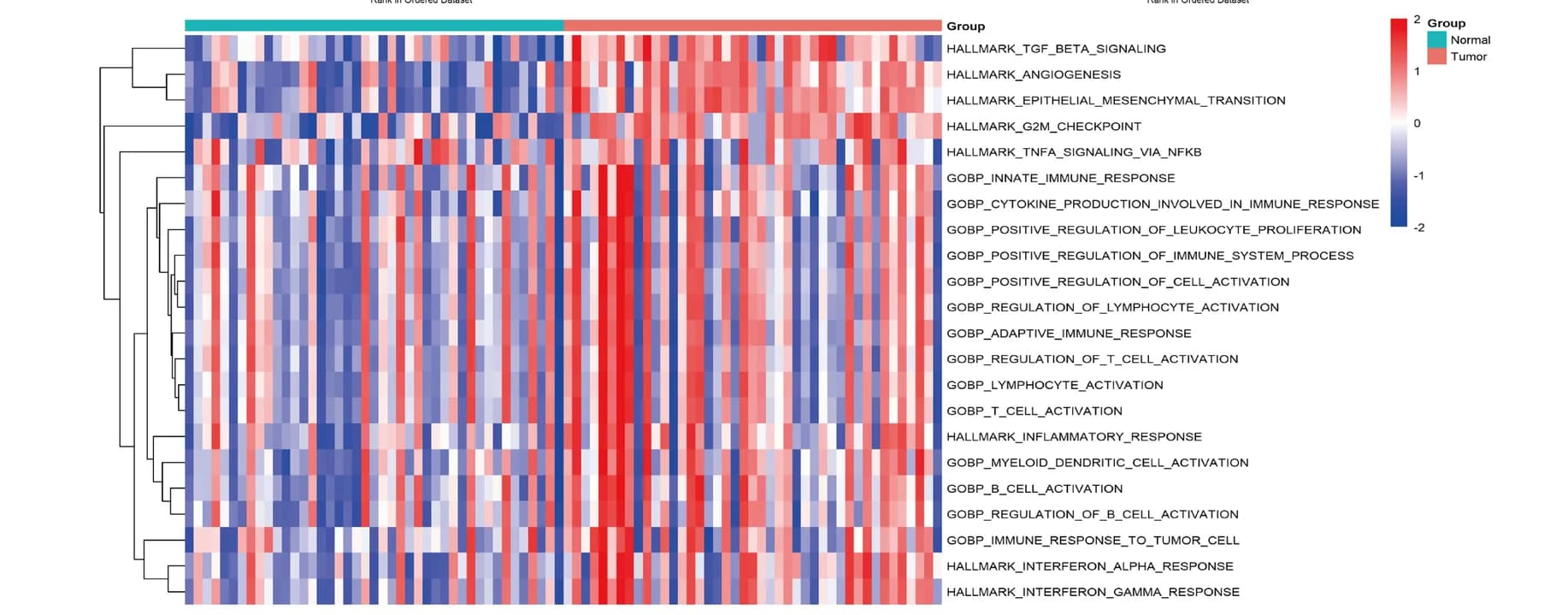 Open access visualization of Heatmap, Clustered, GSVA, Immune Response, Tumor Microenvironment