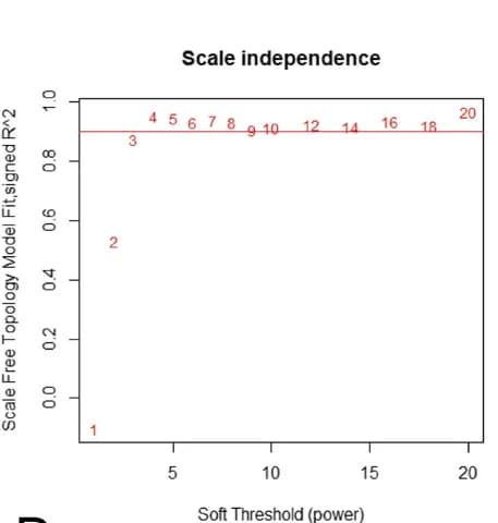 Open access visualization of Scatter Plot, Regression Plot, Scale-free Network, Soft Threshold, Connectivity