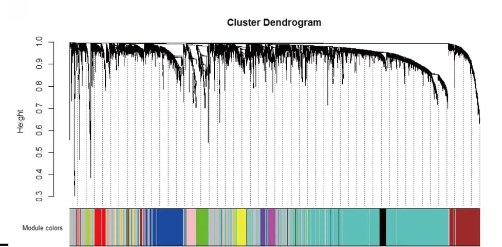 Open access visualization of Dendrogram, Bar Plot, Clustering Dendrogram, Gene Modules, Co-expression