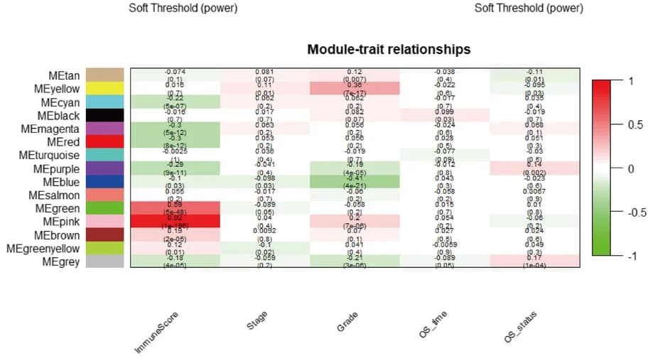 Open access visualization of Heatmap, Clustered, Module-Trait Correlation, Correlation Coefficient, P-value
