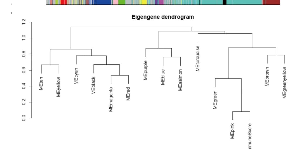 Open access visualization of Dendrogram, Eigengene Dendrogram, Gene Modules, Immune Score
