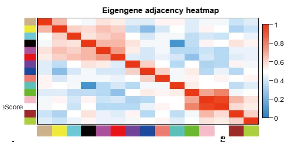 Open access visualization of Heatmap, Eigengene Adjacency, Gene Modules, Immune Score