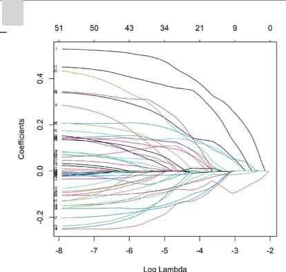 Open access visualization of Line Plot, Cross-Validation, LASSO Model, Coefficient Profile, Prognostic Genes