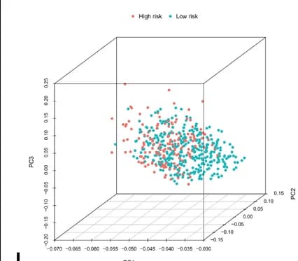 Open access visualization of 3D Plot, PCA, Immune Infiltration-Related Genes, Immune Phenotypes, Risk Groups
