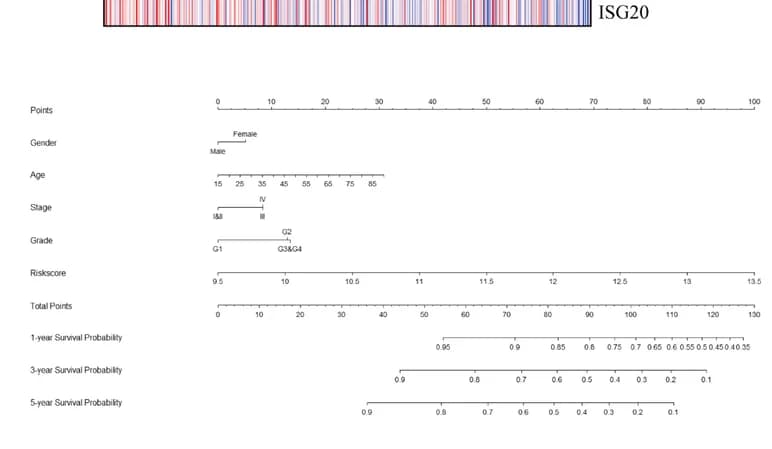 Open access visualization of Line Plot, Nomogram, Risk Score, Clinical Information