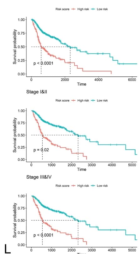 Open access visualization of Survival Curve, ROC Curves, Predictive Efficacy, Nomogram, Overall Survival