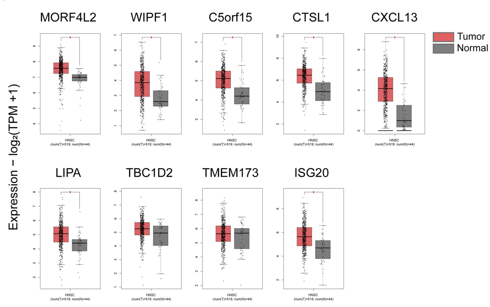 Open access visualization of Box Plot, Scatter Plot, Raincloud Plot, mRNA expression, Tumor samples
