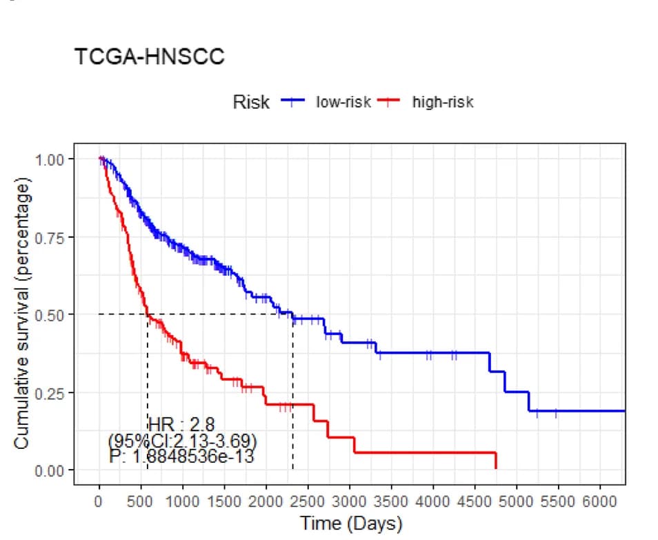 Open access visualization of Survival Curve, Line Step, Kaplan-Meier Survival Curve, Hazard Ratio, TCGA-HNSCC