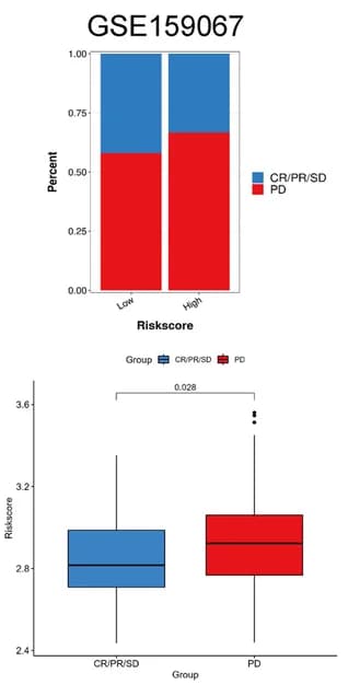 Open access visualization of Stacked Bar Plot, Box Plot, Immunotherapy Responses, Risk Groups, Dataset GSE159067