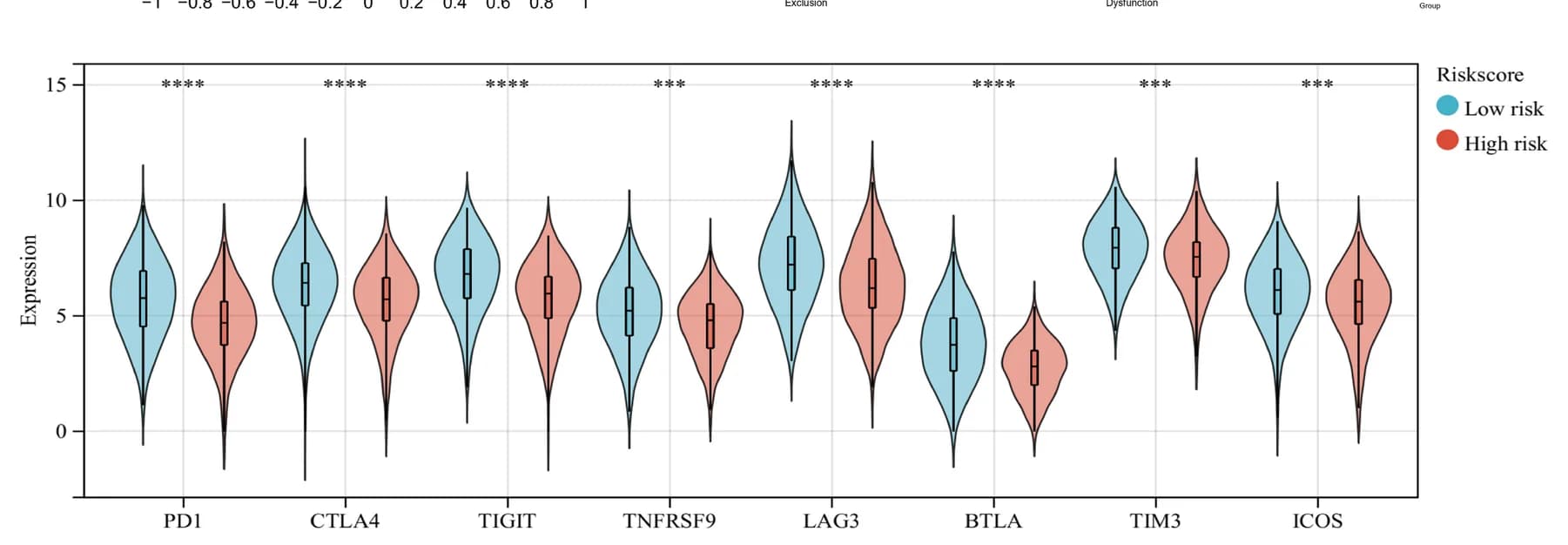Open access visualization of Violin Plot, Box Plot, Expression Levels, Immune Checkpoint Genes, Risk Groups