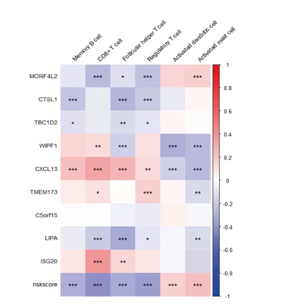 Open access visualization of Heatmap, Immune Cells, Model Candidate Genes