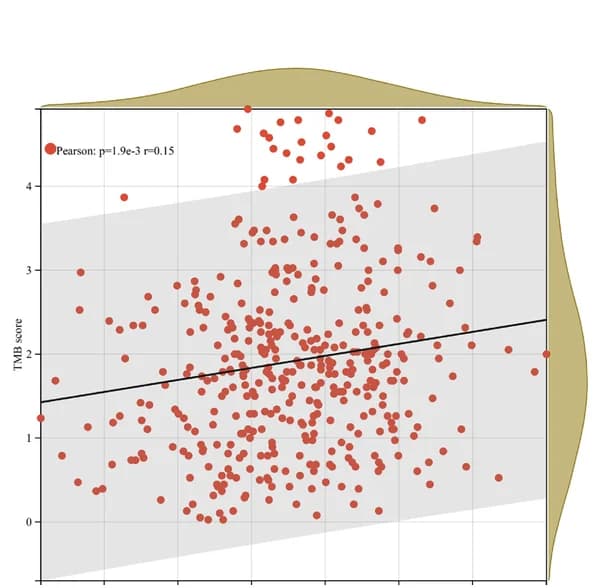 Open access visualization of Scatter Plot, Regression Plot, Density Plot, Risk Score, Tumor Mutation Burden (TMB) Score