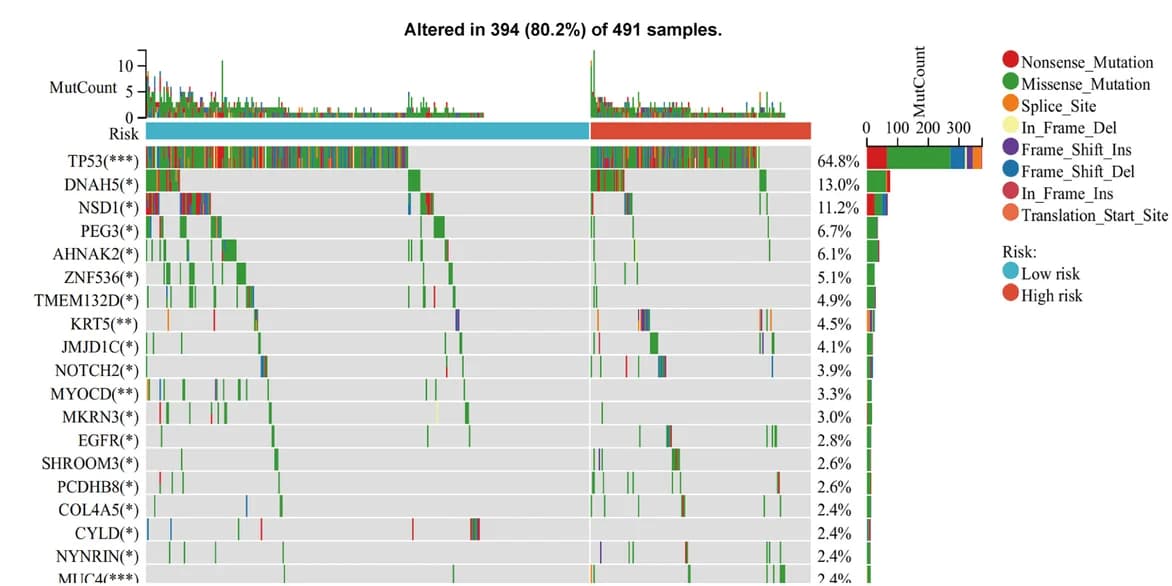 Open access visualization of Bar Plot, Stacked Bar Plot, Heatmap, Mutation Landscape, HNSCC Patients
