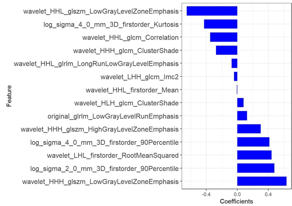Open access visualization of Bar Plot, Diffusion-weighted Imaging, Radiomics Features