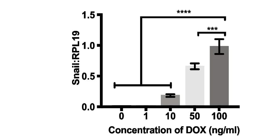 Open access visualization of Bar Plot, Error Bars, Snail RNA expression, DOX concentration, Snail hi