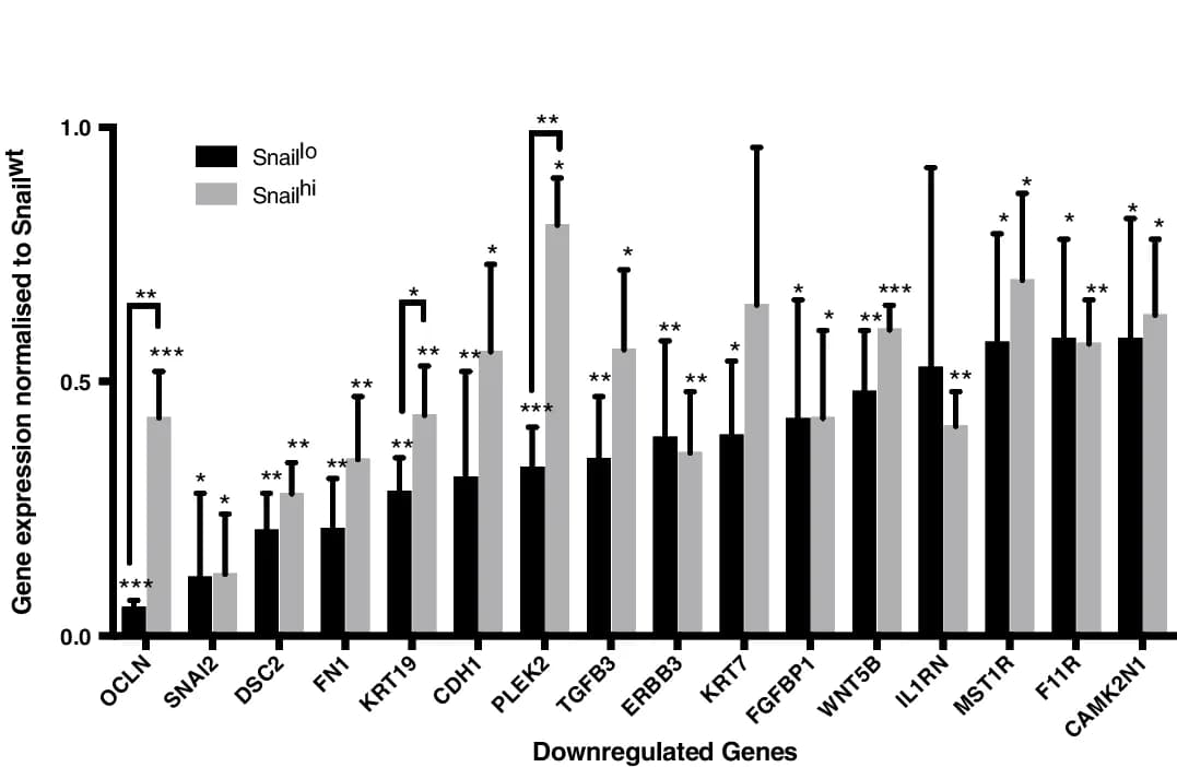Open access visualization of Bar Plot, Error Bars, Clustered, mRNA array, EMT regulated genes