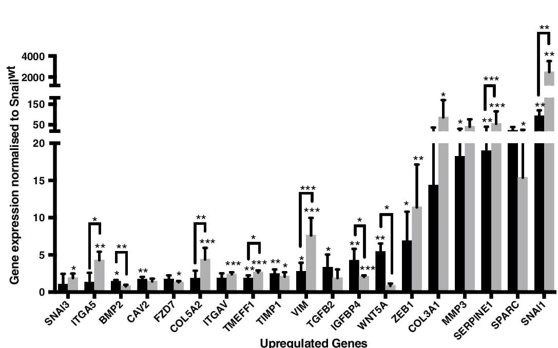 Open access visualization of Bar Plot, Error Bars, Clustered, mRNA array, EMT regulated genes