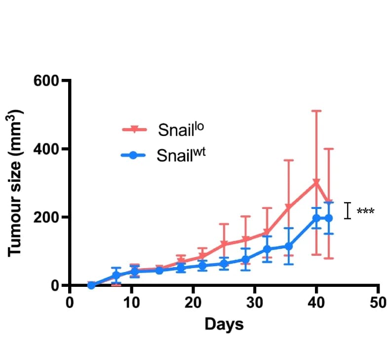 Open access visualization of Line Plot, Error Bars, Tumor Growth, Snail, Linear Regression