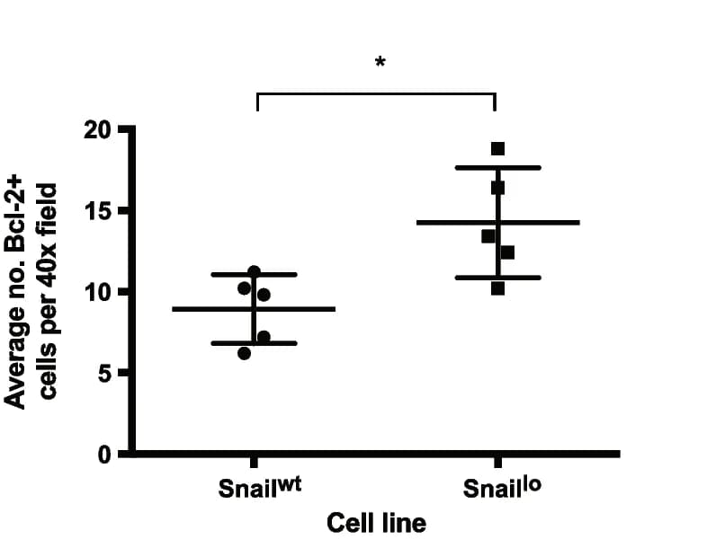 Open access visualization of Scatter Plot, Error Bars, Bcl-2, Xenografts, Student’s t-test