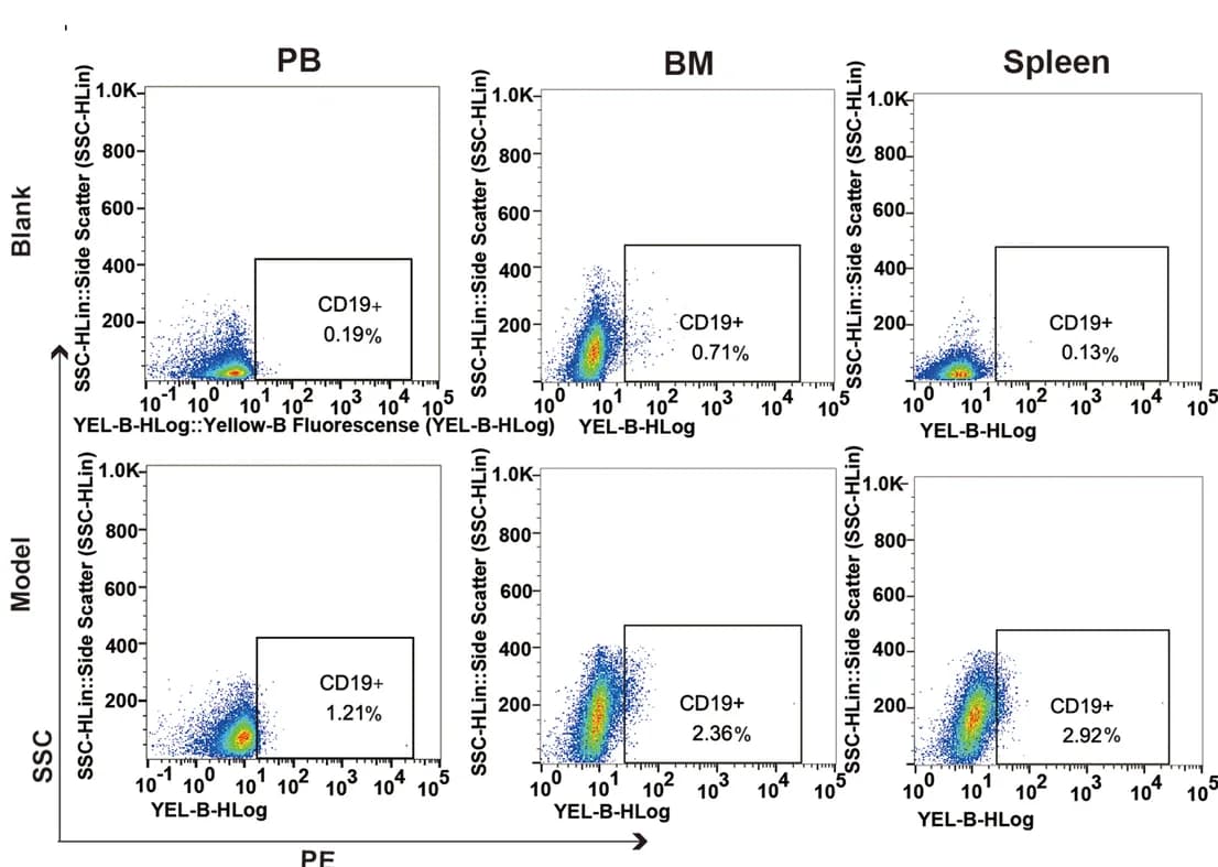 Open access visualization of Scatter Plot, Engraftment, Reh Cells, Peripheral Blood, Bone Marrow