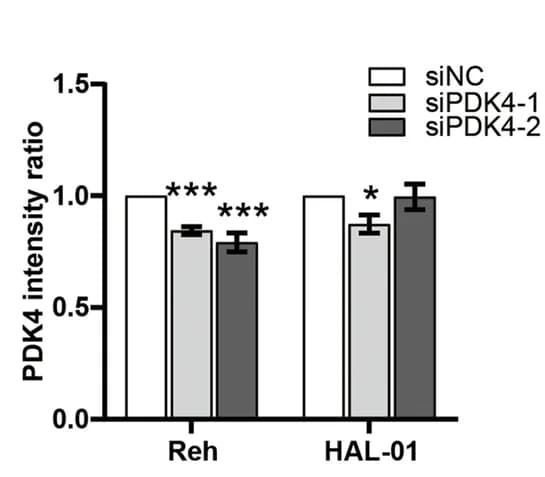 Open access visualization of Bar Plot, Clustered, Error Bars, Western blot, Protein