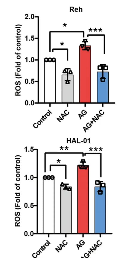 Open access visualization of Bar Plot, Error Bars, 1,5-AG, NAC, ROS-Positive Cells