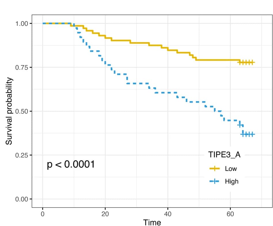 Open access visualization of Survival Curve, Adjacent Normal Tissues, CRC Patients