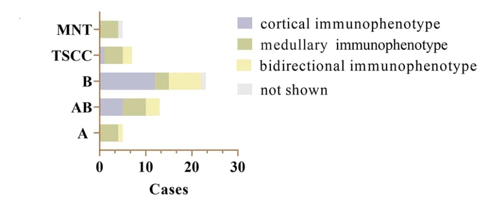 Open access visualization of Stacked Bar Plot, Thymomas, TSCC, Immunophenotype, Corticomedullary Epithelium