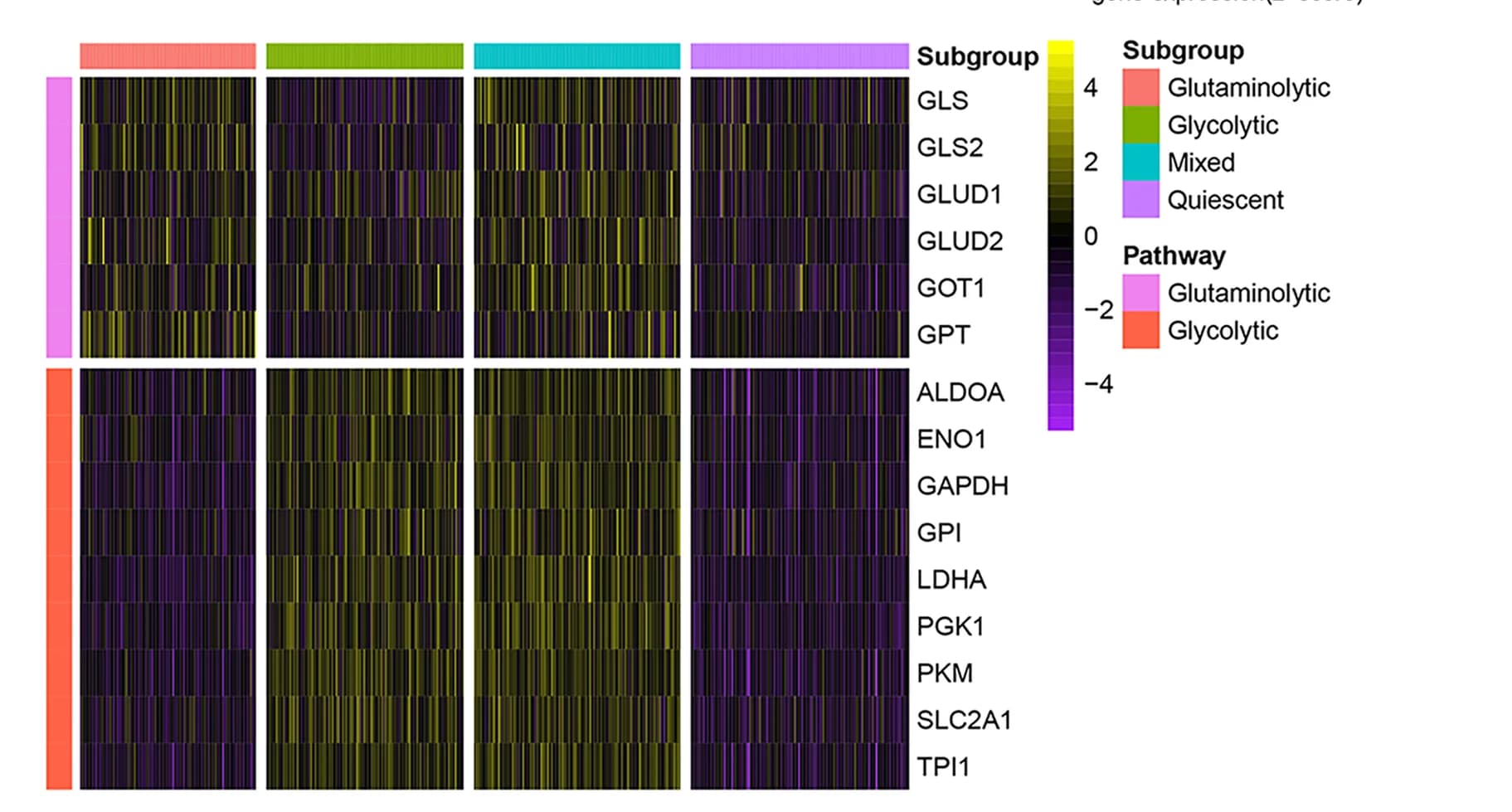Open access visualization of Heatmap, Clustered, Gene expression, Subgroups