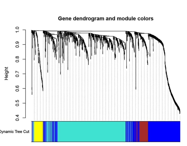 Open access visualization of Line Plot, Bar Plot, Dendrogram, LUAD Gene Clustering