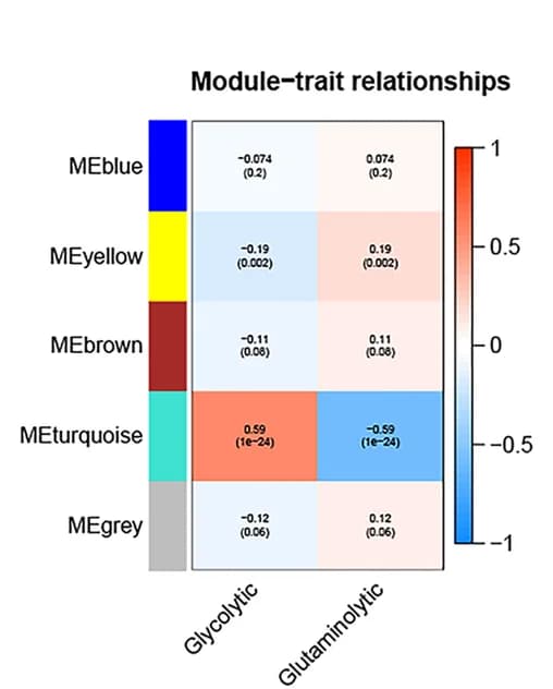 Open access visualization of Heatmap, Gene Modules, Glycolytic, Glutaminolytic