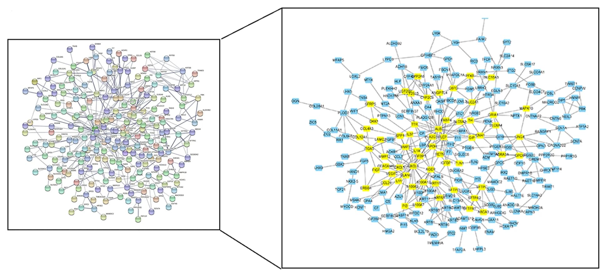 Open access visualization of Network, Pathway, PPI, Differentially Expressed Genes, Glycolytic Samples