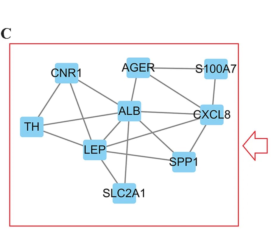 Open access visualization of Network, Pathway, Candidate Genes, Topological Analysis