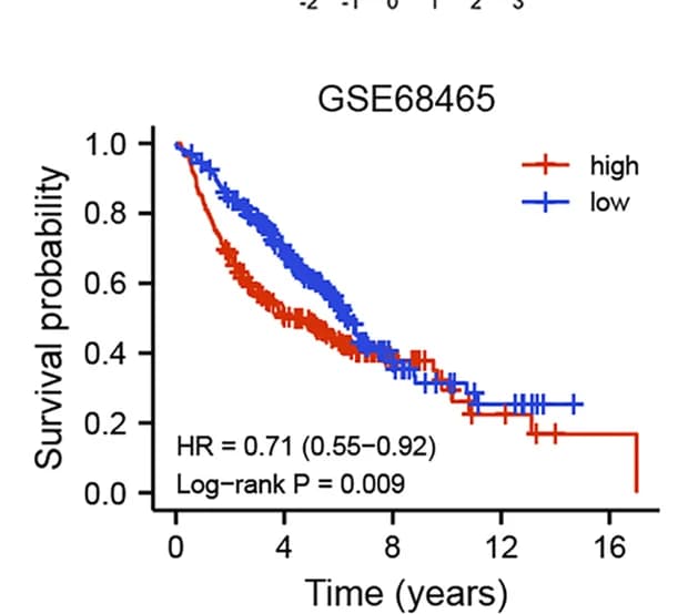 Open access visualization of Survival Curve, Kaplan-Meier Survival Curve, GSE68465, High Risk, Low Risk