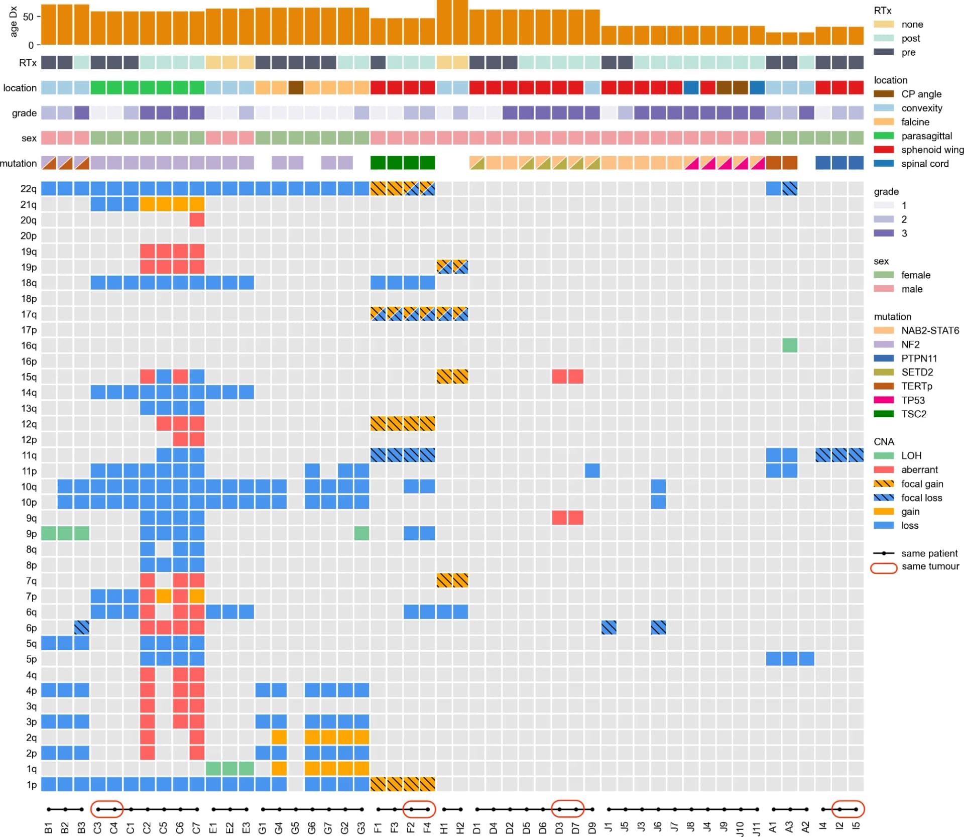Open access visualization of Heatmap, Genes, Pathways, Biological Processes, Tumors