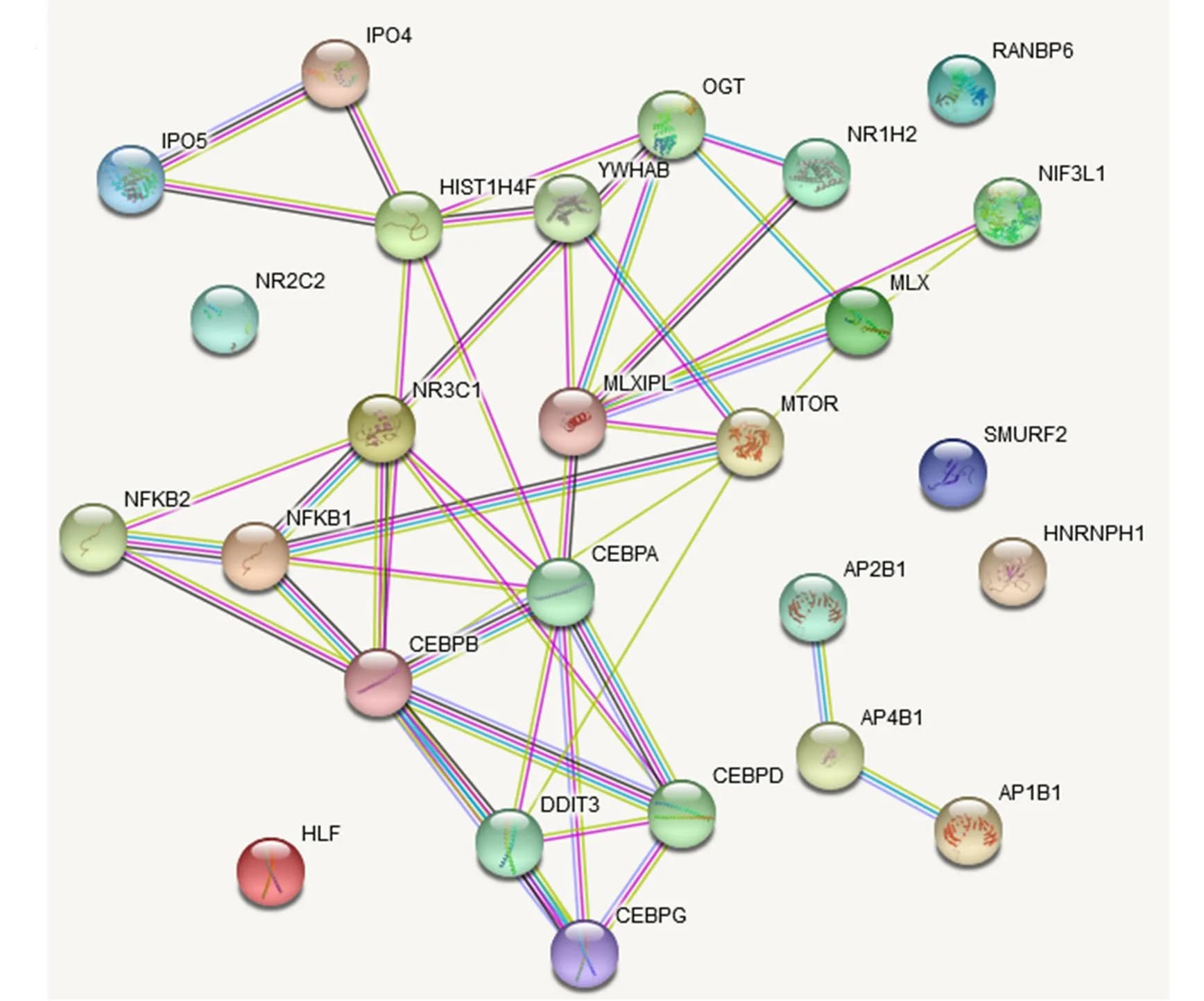Open access visualization of Network, Pathway, STRING database, MLXIPL, Functional Partners