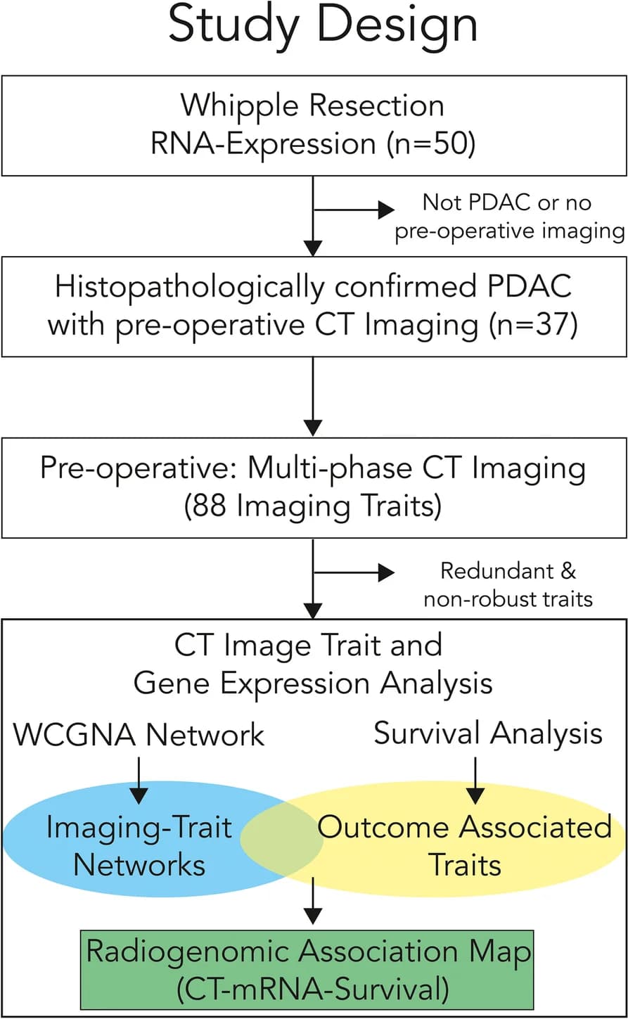 Open access visualization of Workflow, Flowchart, CT Scans, Transcriptomic Profiles, PDAC