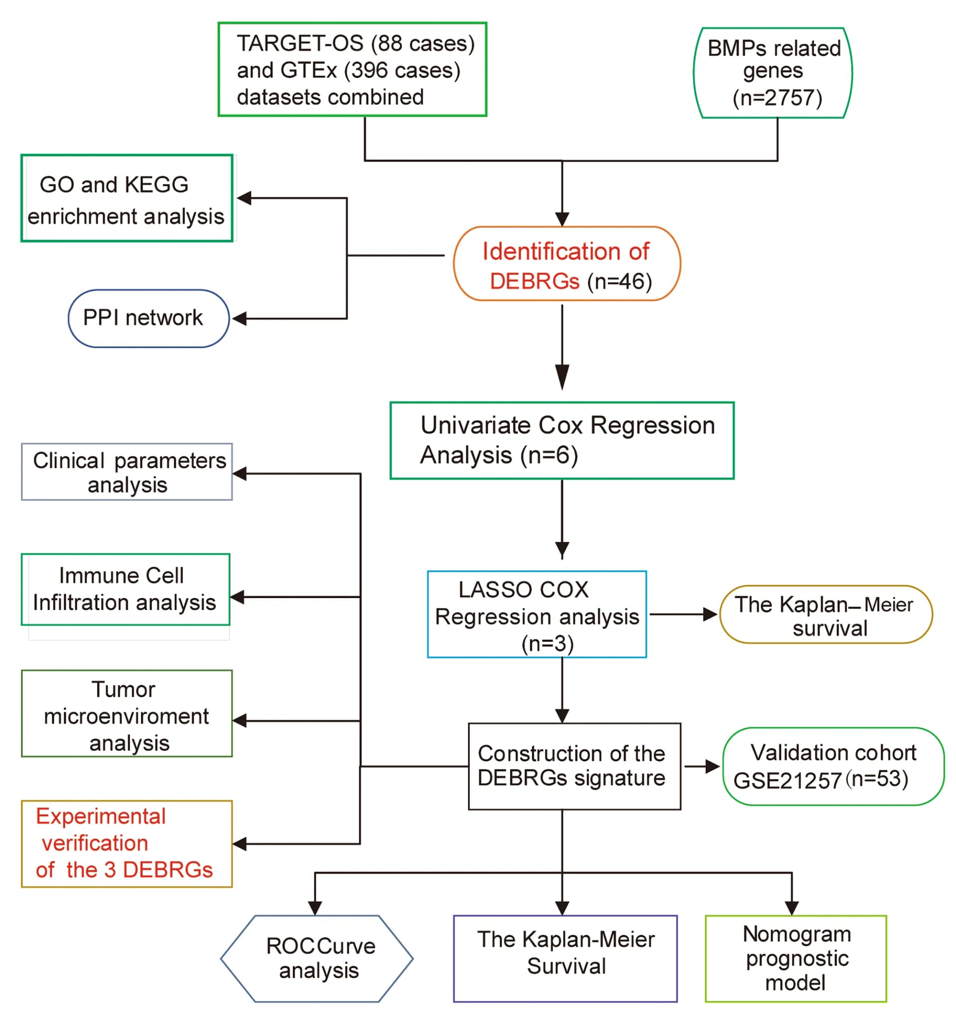 Open access visualization of Workflow, Flowchart, Study Design, Patient Selection, Data Analysis