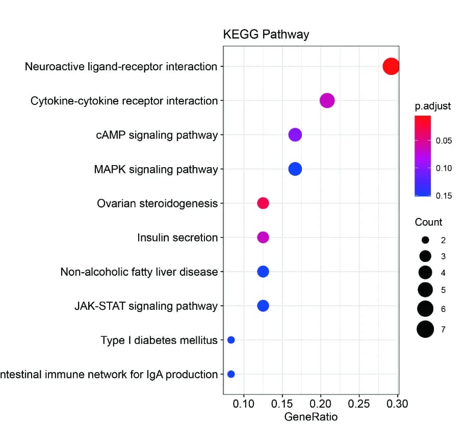Open access visualization of Bubble Plot, KEGG Enrichment Analysis, DEBRG