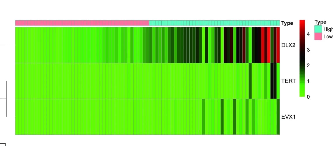 Open access visualization of Heatmap, Clustered, Risk Heatmap, Gene Expression, TARGETOS Training Set